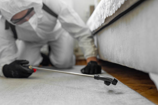 Professional Pest Control technician working in Floyd County County, GA